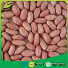 high quality peanut kernel wholesale
